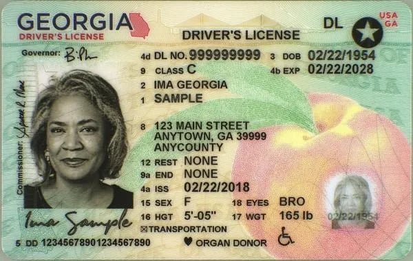 How many points are on my driver's license in Georgia?
